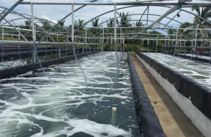 江西九江某水產(chǎn)養(yǎng)殖場凈水項目